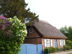 Alte Kate mit Bau-& Zirkuswagen im Gartenidyll